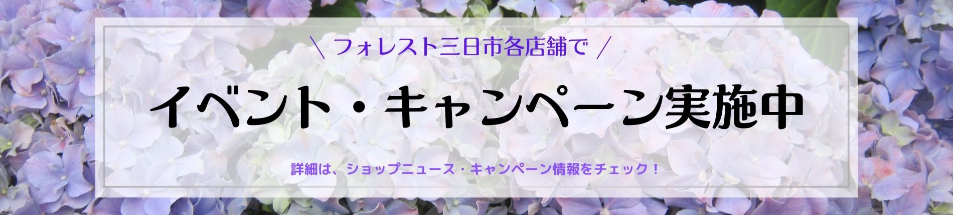 イベント・キャンペーン実施中