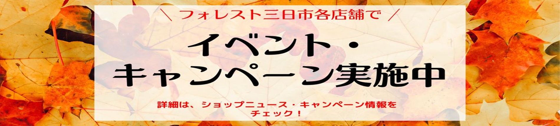 イベント・キャンペーン実施中